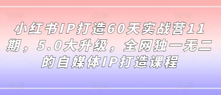 小红书IP打造60天实战营11期，5.0大升级，全网独一无二的自媒体IP打造课程-86资源库