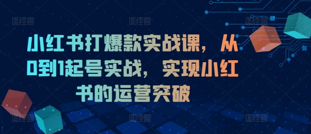 小红书打爆款实战课，从0到1起号实战，实现小红书的运营突破-86资源库