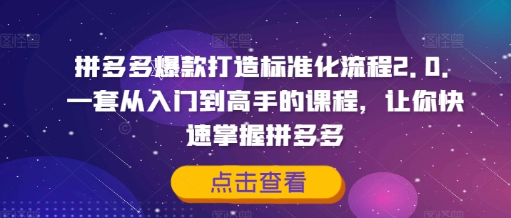 拼多多爆款打造标准化流程2.0，一套从入门到高手的课程，让你快速掌握拼多多-86资源库