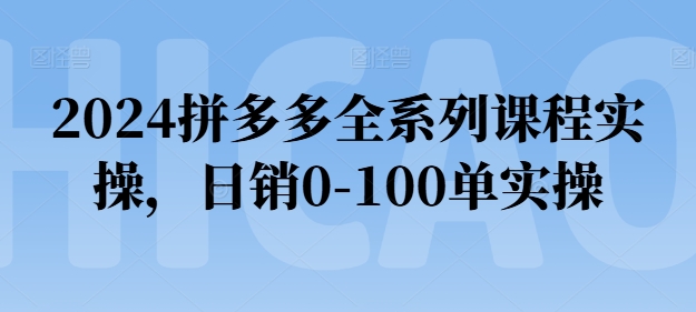 2024拼多多全系列课程实操，日销0-100单实操【必看】-86资源库