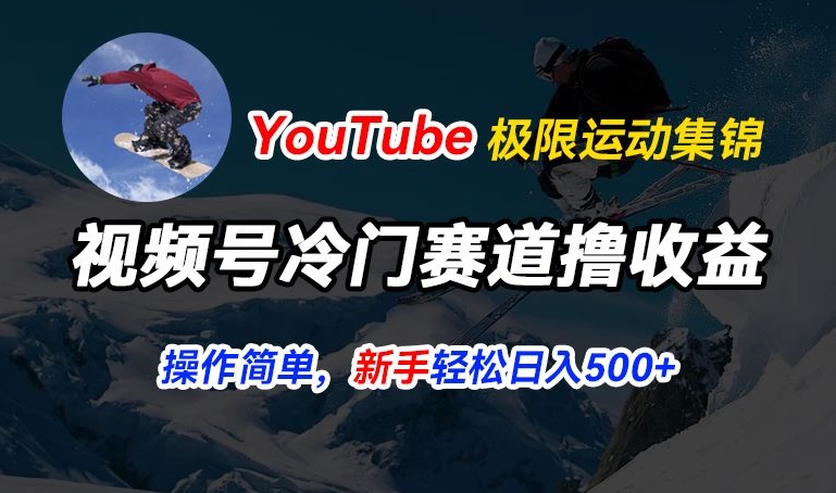 视频号冷门赛道撸收益，YouTube搬运极限运动集锦，暴力起号，操作简单流量高，轻松日入5张【揭秘】-86资源库