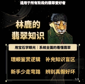 林鹿的翡翠知识，​用宝石眼光，系统全面的看懂翡翠-86资源库