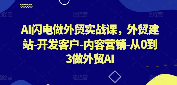 AI闪电做外贸实战课，​外贸建站-开发客户-内容营销-从0到3做外贸AI-86资源库