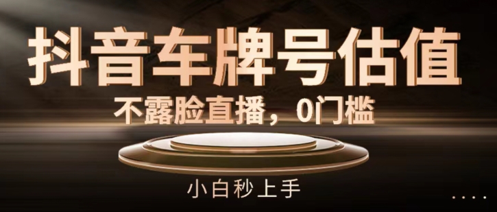 抖音车牌号估值，不露脸直播，0门槛，小白秒上手【揭秘】-86资源库
