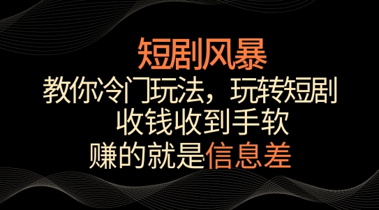 短剧风暴，教你冷门玩法，玩转短剧，收钱收到手软【揭秘】-86资源库