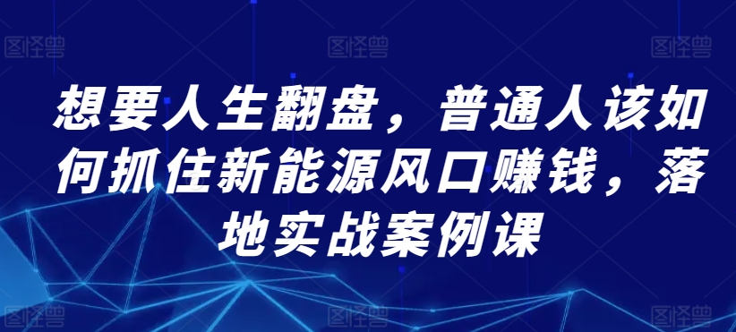 想要人生翻盘，普通人该如何抓住新能源风口赚钱，落地实战案例课-86资源库