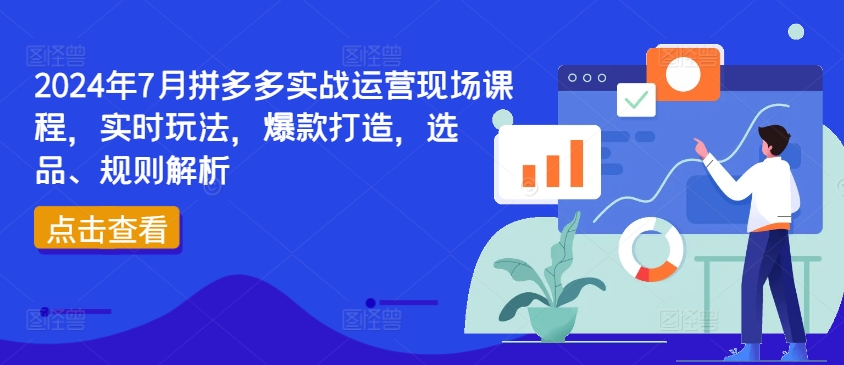 2024年7月拼多多实战运营现场课程，实时玩法，爆款打造，选品、规则解析-86资源库