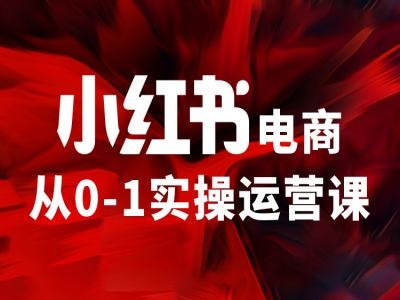 小红书电商从0-1实操运营课，让你从小白到精英-86资源库