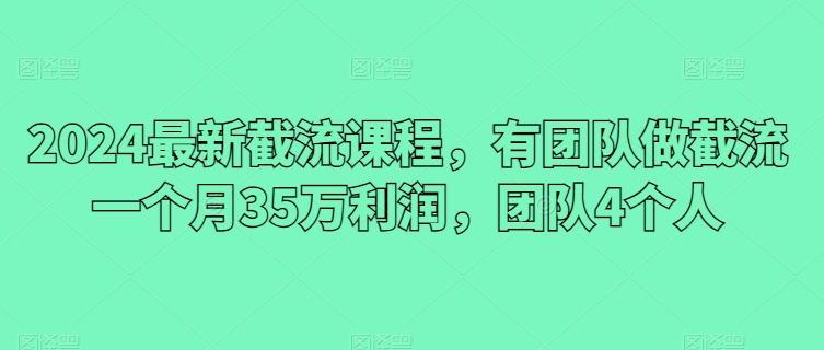 2024最新截流课程，有团队做截流一个月35万利润，团队4个人-86资源库