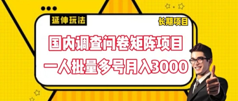 国内调查问卷矩阵项目，一人批量多号月入3000【揭秘】-86资源库