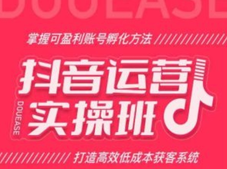 抖音运营实操班，掌握可盈利账号孵化方法，打造高效低成本获客系统-86资源库