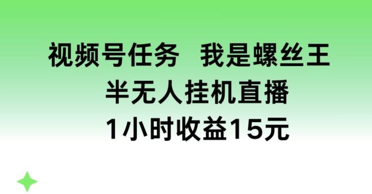 视频号任务，我是螺丝王， 半无人挂机1小时收益15元【揭秘】-86资源库