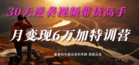 30天逆袭视频带货高手，单月变现6万加特训营-麦子甜-86资源库