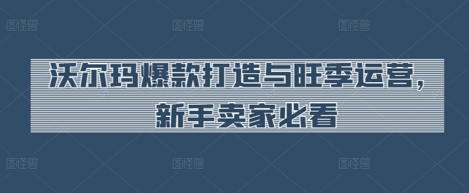 沃尔玛爆款打造与旺季运营，新手卖家必看-86资源库