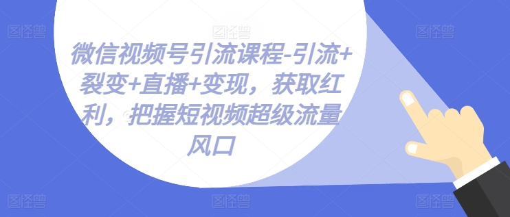 微信视频号引流课程-引流+裂变+直播+变现，获取红利，把握短视频超级流量风口-86资源库