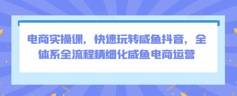 电商实操课，快速玩转咸鱼抖音，全体系全流程精细化咸鱼电商运营-86资源库