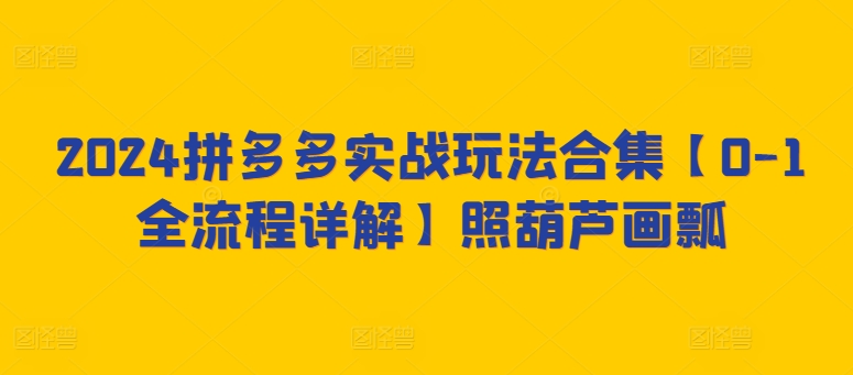 2024拼多多实战玩法合集【0-1全流程详解】照葫芦画瓢-86资源库