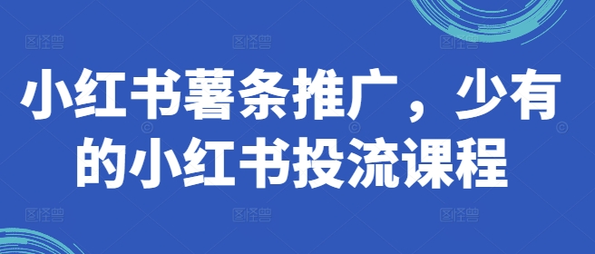小红书薯条推广，少有的小红书投流课程-86资源库