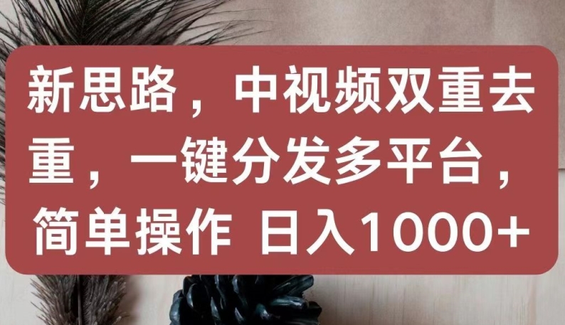 新思路，中视频双重去重，一键分发多平台，简单操作，日入1000+【揭秘】-86资源库