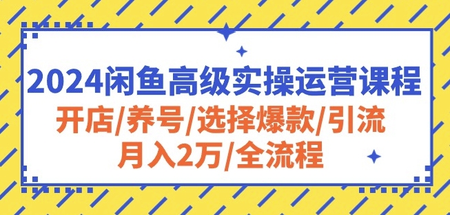 2024闲鱼高级实操运营课程：开店/养号/选择爆款/引流/月入2万/全流程-86资源库