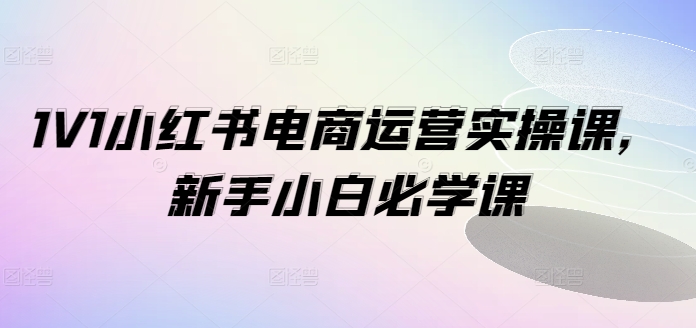 1V1小红书电商运营实操课，新手小白必学课-86资源库