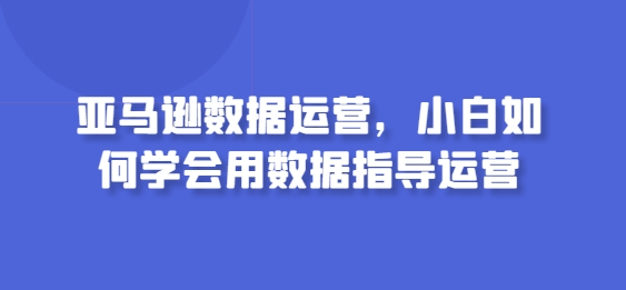 亚马逊数据运营，小白如何学会用数据指导运营-86资源库