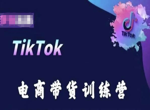 TikTok电商带货训练营，跟随时代潮流，跨境掘金-86资源库