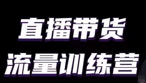 直播带货流量训练营，小白主播必学直播课-86资源库