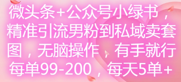 微头条+公众号小绿书，精准引流男粉到私域卖套图，无脑操作，有手就行，每单99-200，每天5单-86资源库