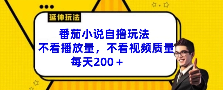 番茄小说自撸玩法，不看播放量，不看视频质量，每天200+【揭秘】-86资源库