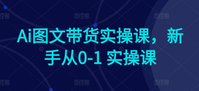 Ai图文带货实操课，新手从0-1 实操课-86资源库