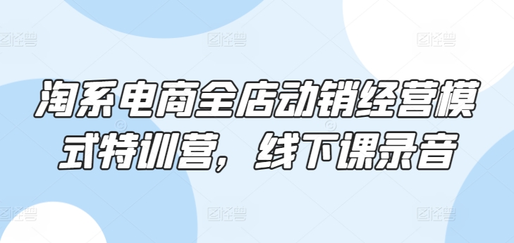淘系电商全店动销经营模式特训营，线下课录音-86资源库