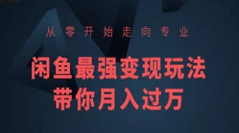 从零开始走向专业，闲鱼最强变现玩法带你月入过万-86资源库