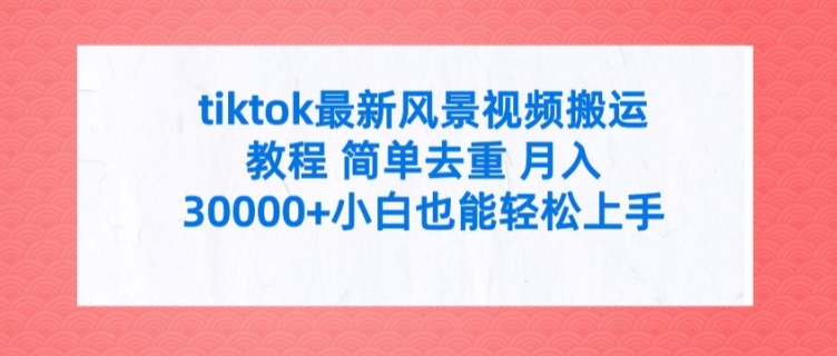 tiktok最新风景视频搬运教程 简单去重 月入3W+小白也能轻松上手【揭秘】-86资源库