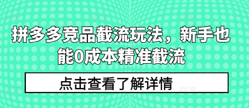 拼多多竞品截流玩法，新手也能0成本精准截流-86资源库