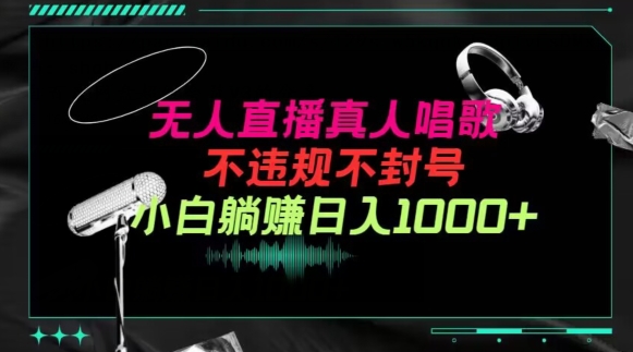 抖音24小时无人直播音乐，不违规，不封号纯撸音浪，小白实操当天日入1000+【揭秘】-86资源库