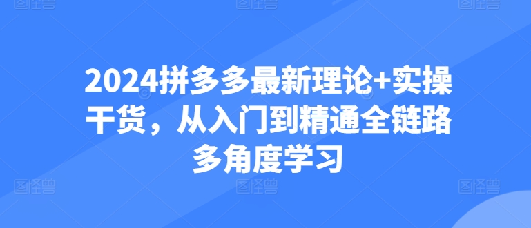 2024拼多多最新理论+实操干货，从入门到精通全链路多角度学习-86资源库