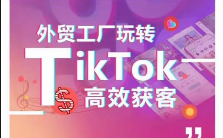 外贸工厂玩转TikTok高效获客，多种引流方式与账号定位技巧，拆解爆款短视频打造成功案例-86资源库