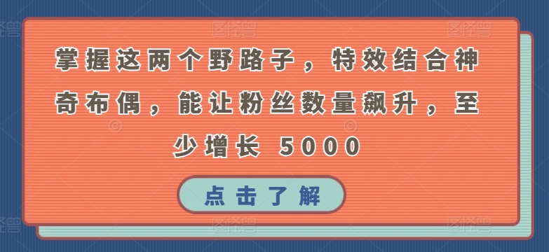 掌握这两个野路子，特效结合神奇布偶，能让粉丝数量飙升，至少增长 5000【揭秘】-86资源库
