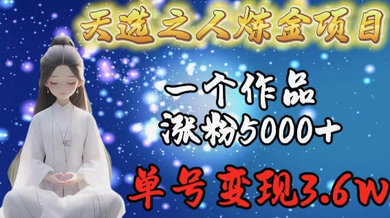天选之人炼金项目，一个作品涨粉5000+，单号变现3.6w【揭秘】-86资源库
