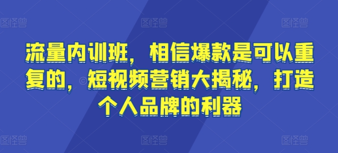流量内训班，相信爆款是可以重复的，短视频营销大揭秘，打造个人品牌的利器-86资源库