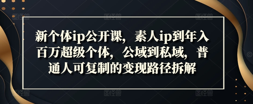 新个体ip公开课，素人ip到年入百万超级个体，公域到私域，普通人可复制的变现路径拆解-86资源库