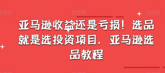 亚马逊收益还是亏损！选品就是选投资项目，亚马逊选品教程-86资源库