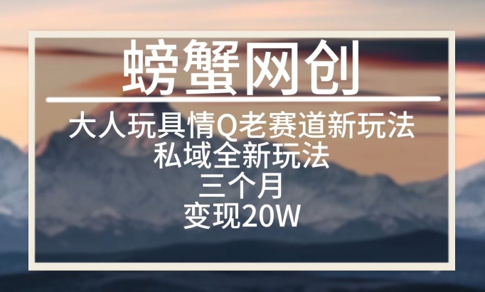 大人玩具情Q用品赛道私域全新玩法，三个月变现20W，老项目新思路【揭秘】-86资源库