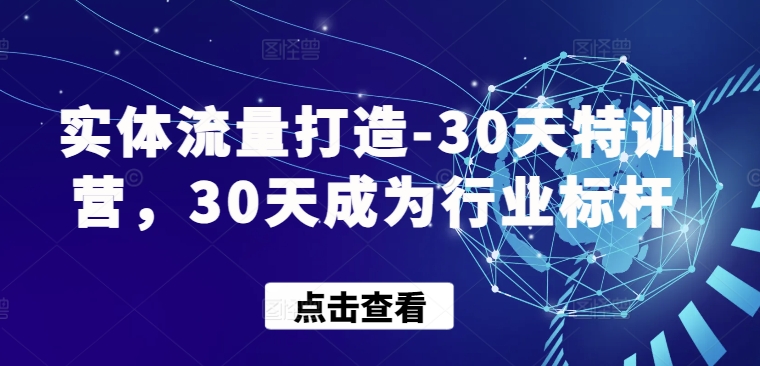 实体流量打造-30天特训营，30天成为行业标杆-86资源库
