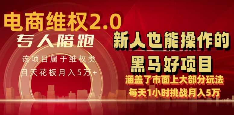 电商维权 4.0 如何做到月入 5 万+每天 1 小时新人也能快速上手【仅揭秘】-86资源库