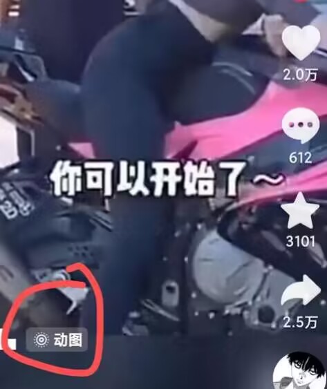 2024年7月苹果手机动图搬运技术-86资源库