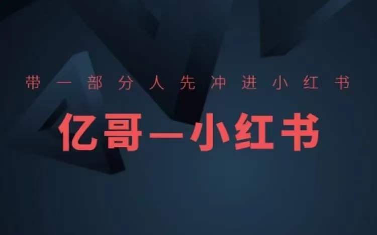 ​​带一部分人先冲进小红书，小红书开店、选品、爆款裂变-86资源库