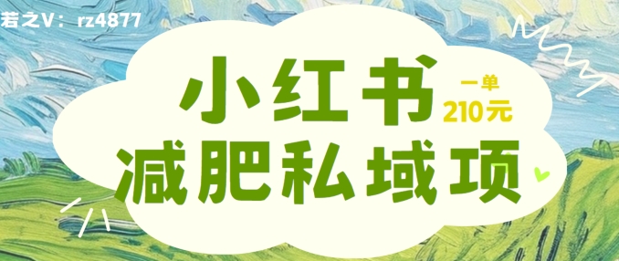 小红书减肥粉，私域变现项目，一单就达210元，小白也能轻松上手【揭秘】-86资源库