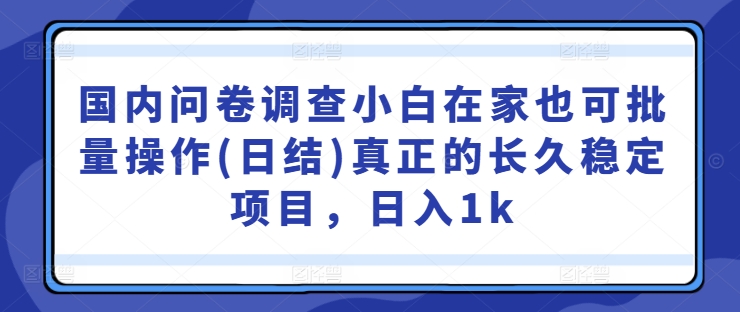 国内问卷调查小白在家也可批量操作(日结)真正的长久稳定项目，日入1k【揭秘】-86资源库